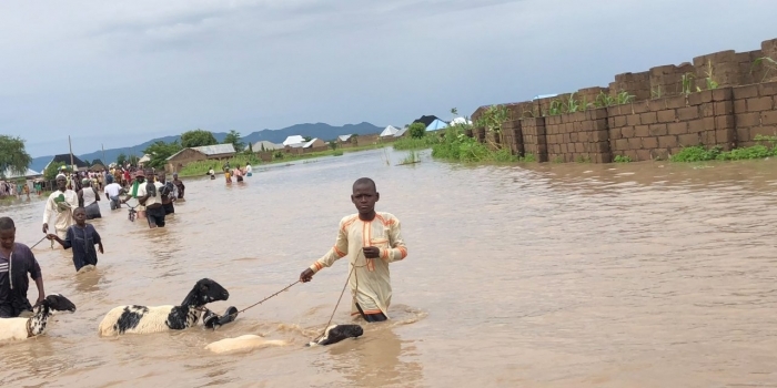 Flooding in Nigeria displaces thousands